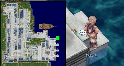 Pelaut Turtle Island.jpg