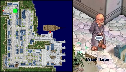 Kakek Turtle.jpg