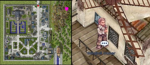 Mills Windmill Owner.jpg