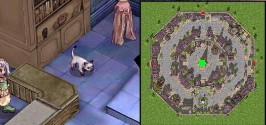 Cat Wizard.jpg